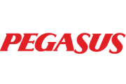 pegasus
